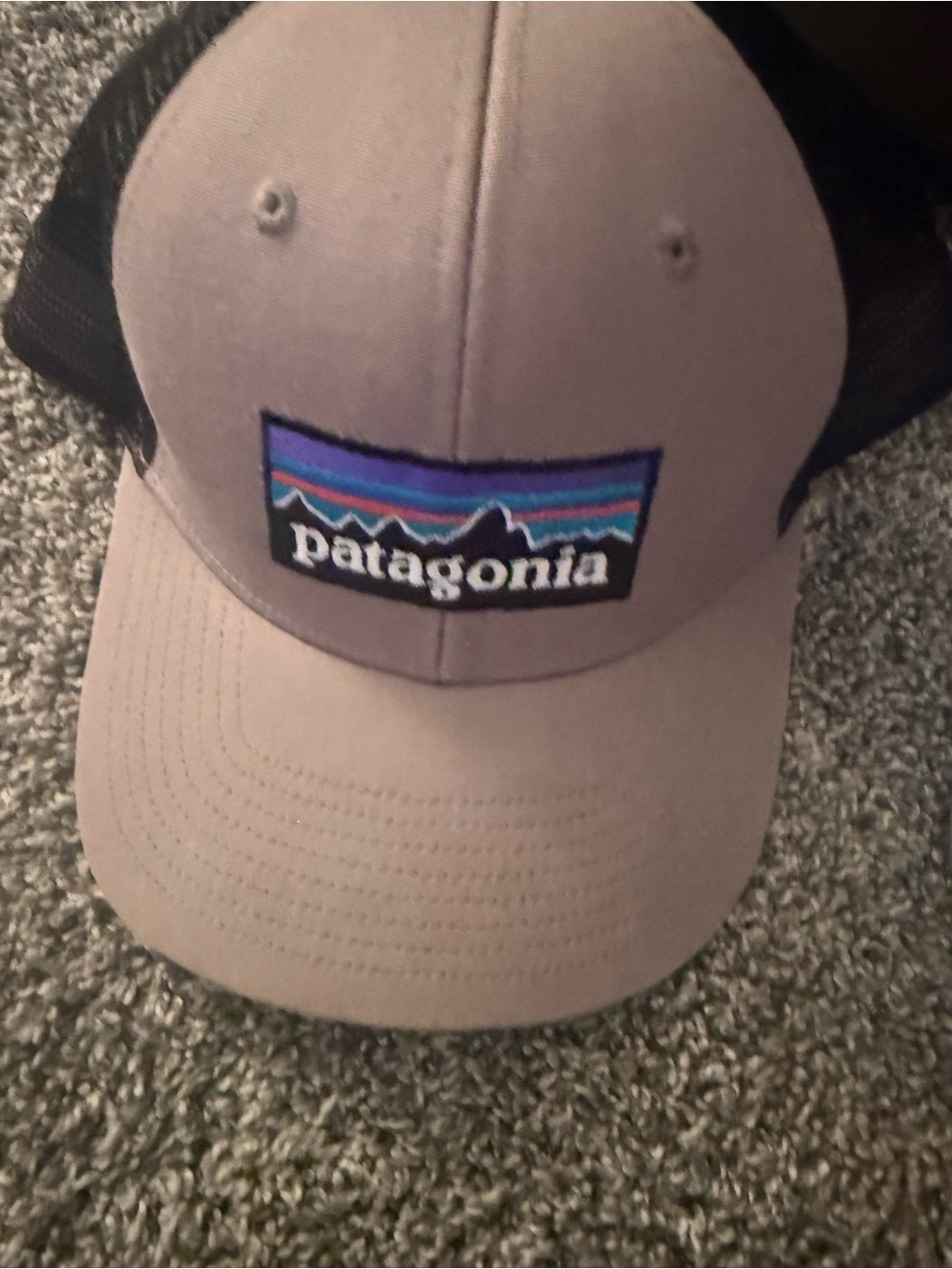 Men’s Patagonia Taupe and Black Trucker Hat with Logo